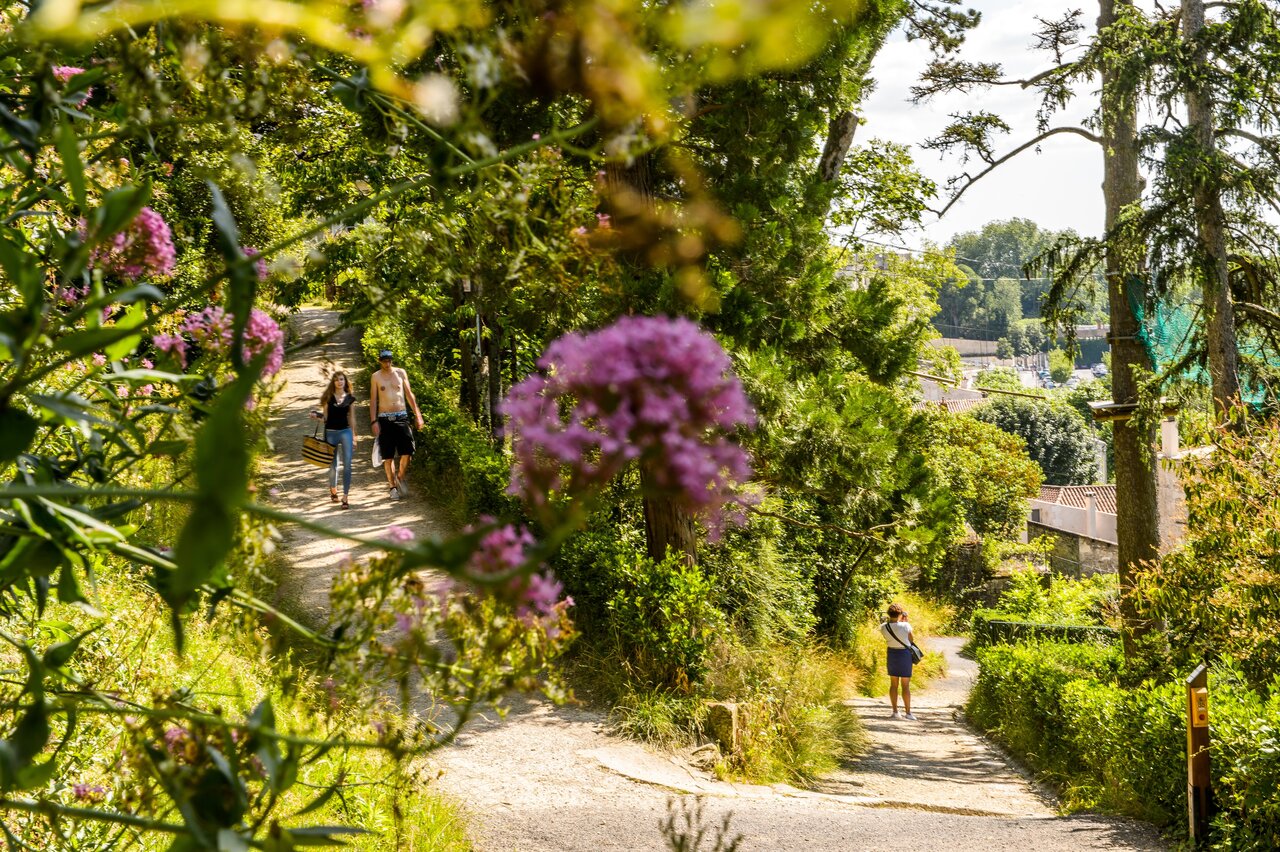 Jardin des plantes - Photo Alex Giraud
