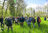 Sortie nature dans le marais de Galuchet