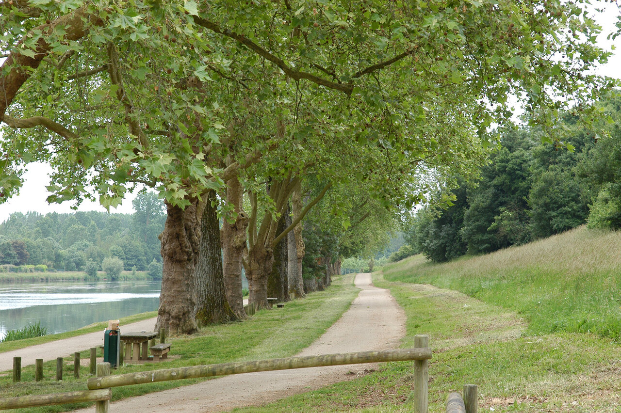 Coulée verte, rive droite, les Chizelles