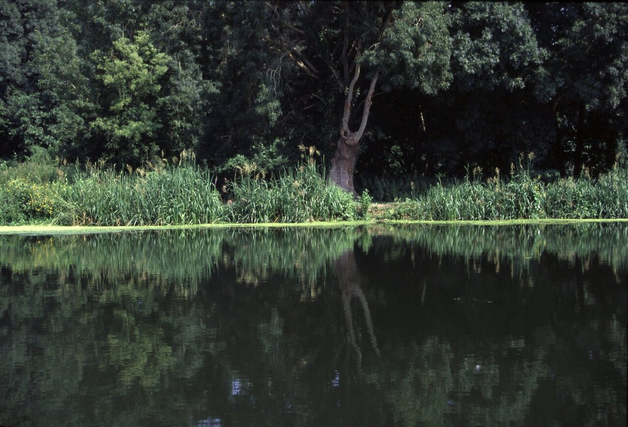 Marais de Galuchet - photo Bruno Derbord
