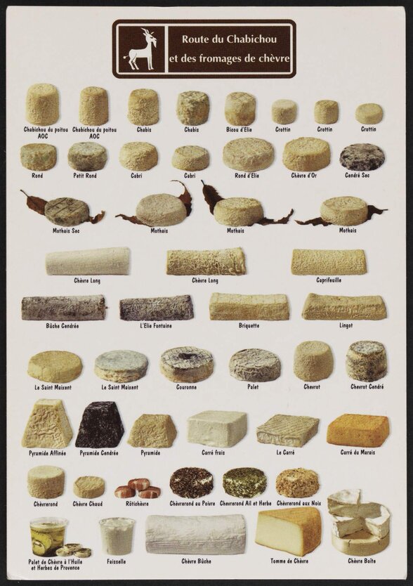 Carte de la Route du Chabichou présentant les variétés de fromages de chèvre du Poitou