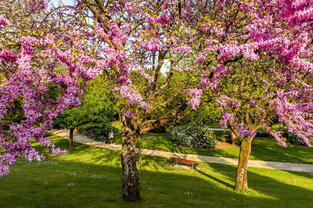 Le jardin Camille-Richard - Photo Alex Giraud
