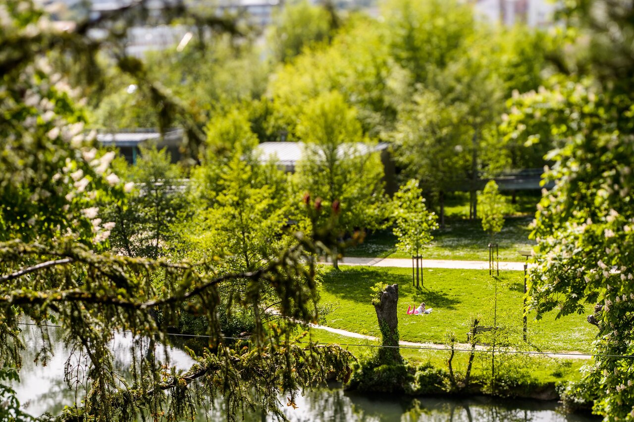 Jardin des plantes - Photo Alex Giraud