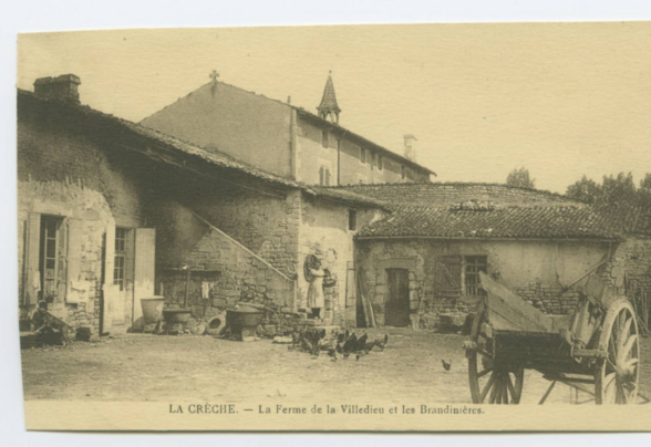 Carte postale ancienne de la ferme de la Villedieu et des Brandinières à La Crèche
