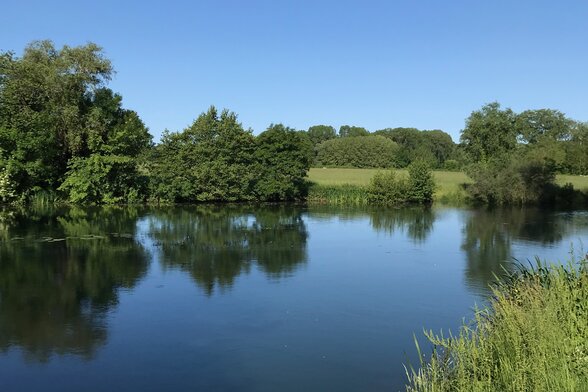 La Sèvre bordée d’arbres, qui se reflètent dans l’eau calme